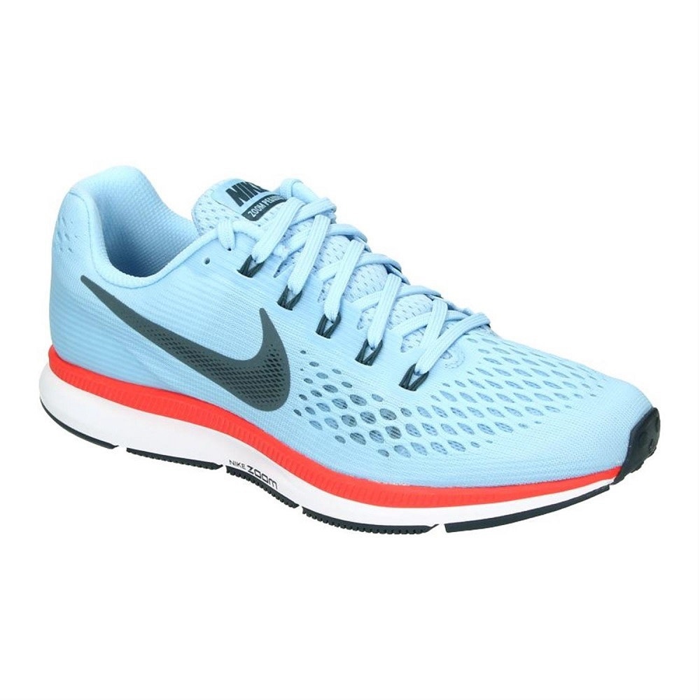 Tenis Nike Air Zoom Pegasus 34 880555 404 Masculino