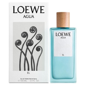 Perfume Loewe Agua Él EDT 100mL  - Masculino