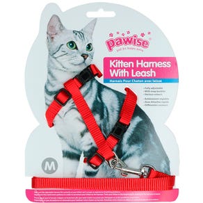 Correa de pecho para gatos Rojo - Pawise Kitten Harness with leash M 28003